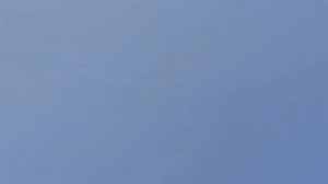 Атака Сокол Сапсан!!!Falcon Pelegrinus Attack Pigeons