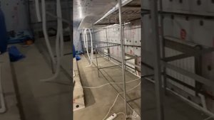 Выведение креветки Розенберга