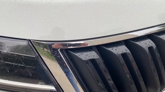 Пуск на холодную - Шкода Кодиак смотреть онлайн