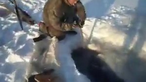 Как ловят бормаша.