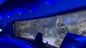 В Стамбуле 3 океанариума? так что давайте разбираться по порядку