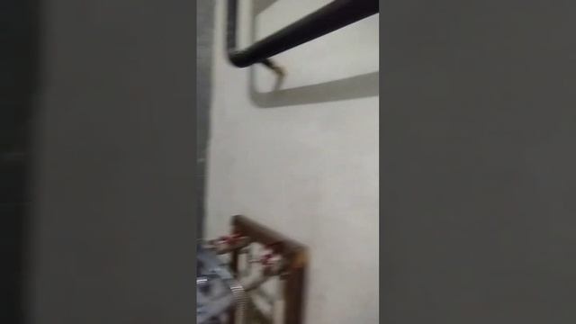 Мой вариант бюджетной отделки стен своими руками!
