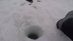 Рыбалка Anatoliy Strelec с сыном Зимняя рыбалка Ловля на мормышку