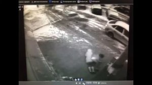 На лабутенах