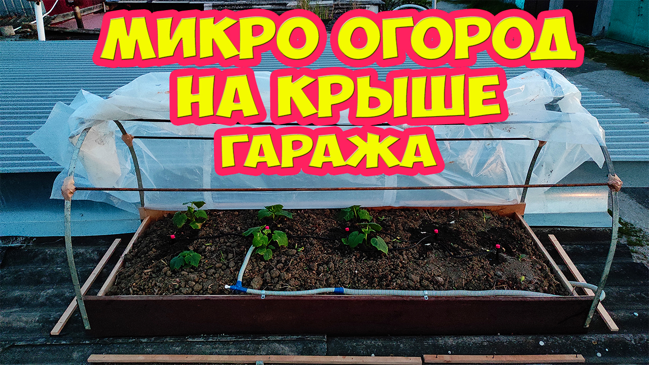 Микро огород на крыше гаража