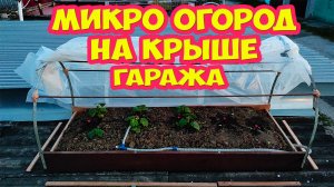 Микро огород на крыше гаража