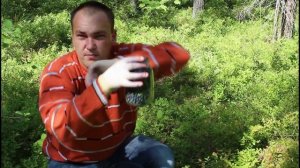 Как собирать чернику в 2,5 раза быстрее, чем руками.