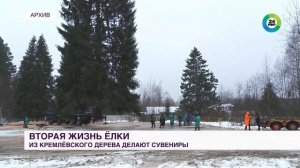 Вторая жизнь Кремлевской елки