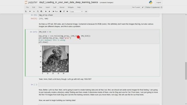 Loading in your own data - Deep Learning basics with Python, TensorFlow and Keras | ikhomkodes