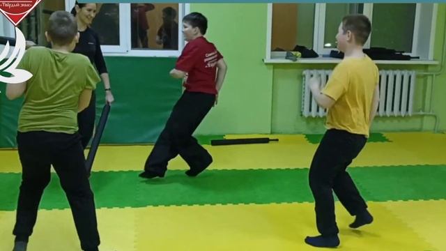 Современный мечевой бой. Спорт Воронеж. Россия. Дети. Богатыри. Рыцари.