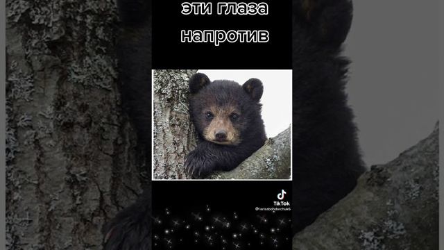 Карточка видео