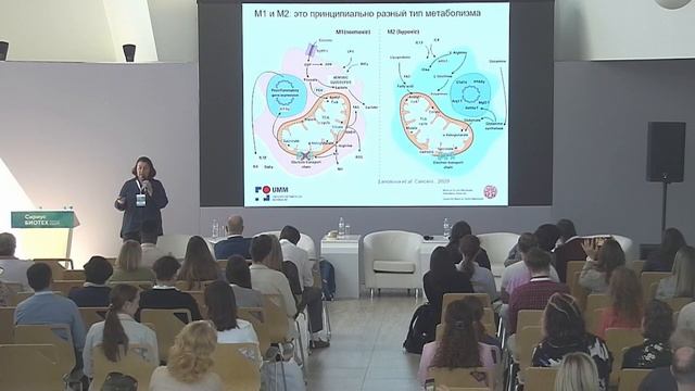 Генотерапевтические и иммуномодулирующие противоопухолевые препараты_ 17 мая_ Сириус.Биотех 2024