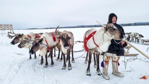 Эти братья не ездят, а летают. Гонщики Хатанзеевы! |Изьватас олэм