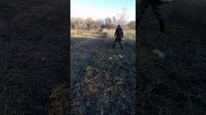 STIHL FS 450 тест катушки от Хускварны .