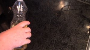 До чего же хороши Шаньги с картофелем (Татарская кухня).