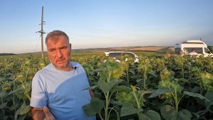 Меньше двух тонн подсолнечника не получал даже в Крыму. Технология выращивания от Ю. Дробязко