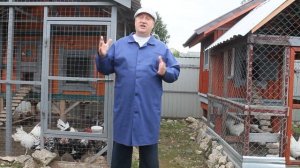 СКОЛЬКО РАЗ В СУТКИ КОРМИТЬ КУР В ЖАРУ.