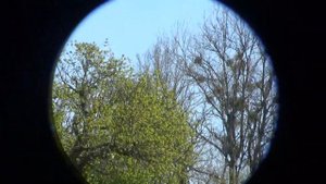 Test SV47 Svbony 8x42