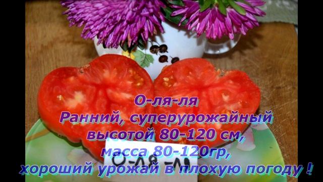 Каталог томатов на весну 2021. Часть 2. Детерминанты.