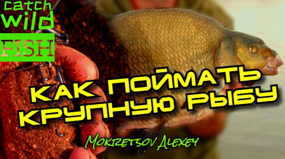 КАК ПОЙМАТЬ КРУПНУЮ РЫБУ ,ПРИКОРМКА ДЛЯ ТЕЧЕНИЯ.