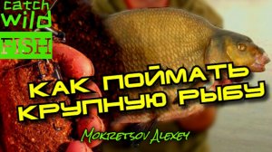 КАК ПОЙМАТЬ КРУПНУЮ РЫБУ ,ПРИКОРМКА ДЛЯ ТЕЧЕНИЯ.