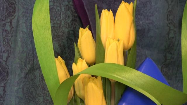 Spring Wind of Changes «ВЕСЕННИЙ ВЕТЕР ПЕРЕМЕН» Встреча в Культурном центре «Белые Облака» смотреть онлайн