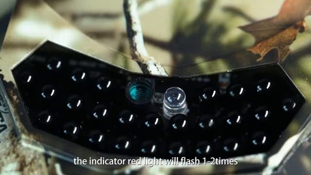 Камера для охоты, фотоловушка 12MP, Филин HC-801BH смотреть онлайн