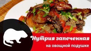 Видео рецепт приготовления нутрии: как быстро, просто и вкусно запечь нутрию с овощами в духовке