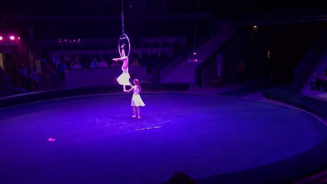 Эстрадно цирковая студия Сказочный Мир. Дуэт в воздушном кольце «Лети» Науменко София и Орёл Алиса смотреть онлайн