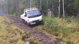 Тойота хайс в лесу