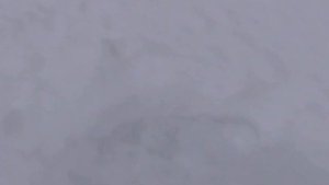 На озеро Белое