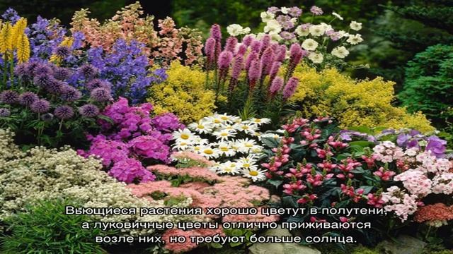 Уход за многолетними цветами после зимы смотреть онлайн