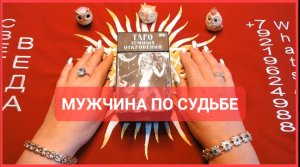 МУЖЧИНА ПО СУДЬБЕ Таро Светлана ВЕДА
