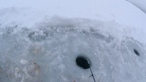 Ловля леща. Зимняя рыбалка. Ловля Леща на мормышку.