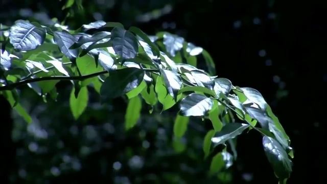 Как спать с комфортом и просыпаться бодрым. смотреть онлайн