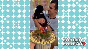 Коту "испекли" тортик на 20-летие. Видели видео? Фрагмент выпуска от 28.03.2021