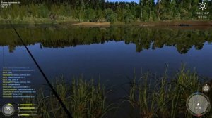 Русская рыбалка 4 - Старое Озеро Комариное - Голавль