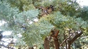 На территории санатория Голубая волна в Алуште