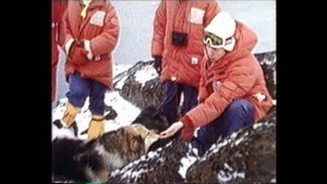 Арктические экспедиции "Метелицы" часть 2.