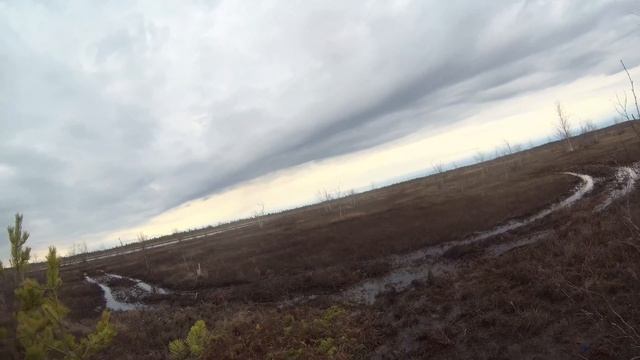 Охота на гуся 2021 (новое болото). смотреть онлайн