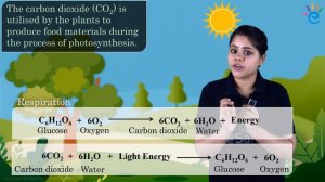 The Oxygen Cycle | Natural Resources Class 9 Science | eSaral Class 9 | Best Visualisation