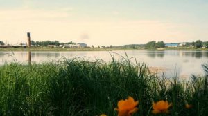 ЧЕРНЫЙ ВОРОН...  ( народная казачья песня )