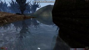 Morrowind Abot's Water Shader