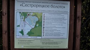 Сестрорецкое болото