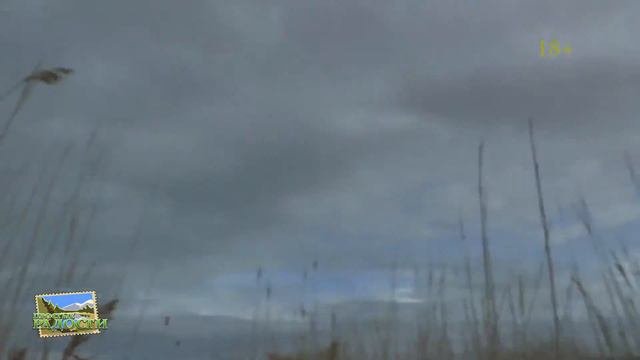 Об охоте! Что бывает когда охотишься с чужим ружьем!