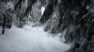 Снег в Боровлянах (Беларусь)