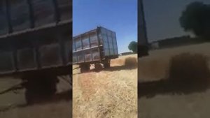 Уборка комбайн нива ск5 пун