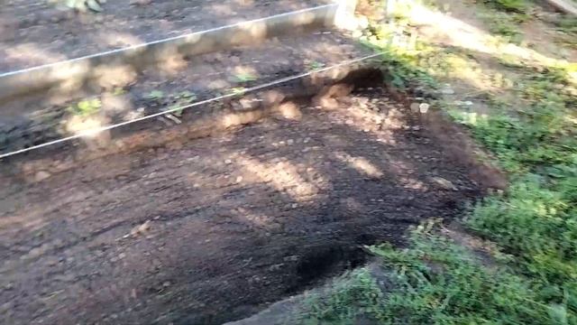 ДОРОЖКИ ИЗ ТРОТУАРНОЙ ПЛИТКИ НА СВОЕМ УЧАСТКЕ/ ТЕНОЛОГИЯ, МОНТАЖ, ВНЕШНИЙ ВИД смотреть онлайн