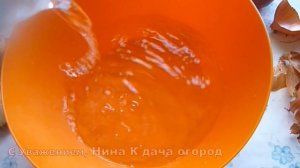 Сажаем лук на зелень в июле. ПОСАДКА ЛУКА РЕПКИ НА ПЕРО ЛЕТОМ. Когда сажать лук на зелень в июле