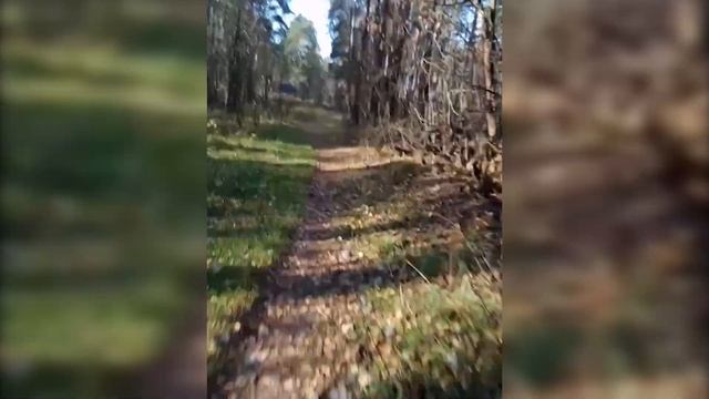 Ivan79 Лохин Николина гора ) смотреть онлайн